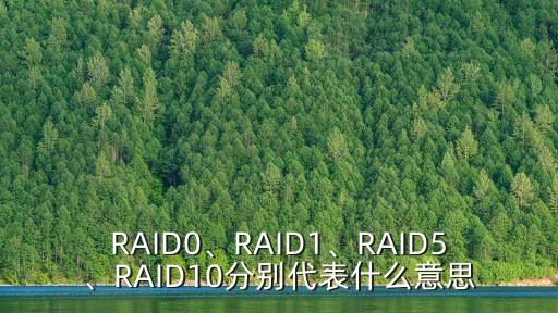 RAID0、RAID1、RAID5、RAID10分別代表什么意思