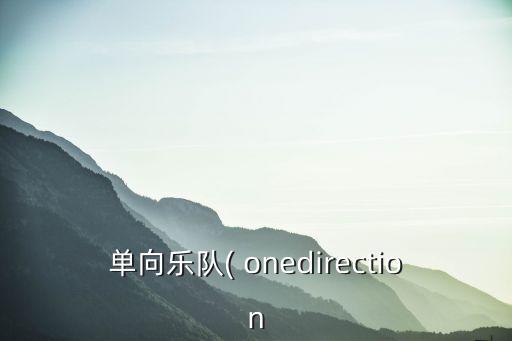 單向樂隊(duì)( onedirection