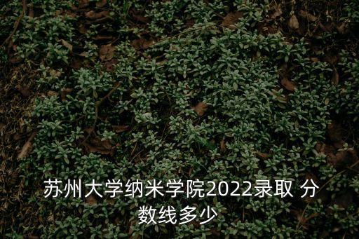  蘇州大學納米學院2022錄取 分數線多少