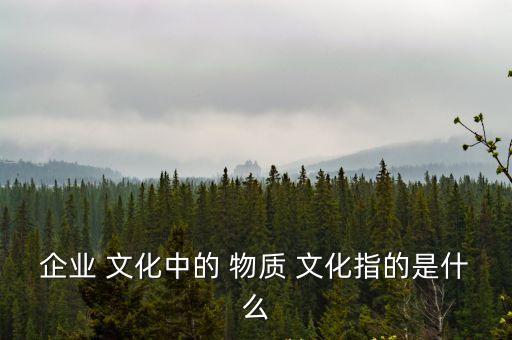 企業(yè) 文化中的 物質(zhì) 文化指的是什么