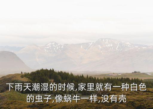 下雨天潮濕的時候,家里就有一種白色的蟲子,像蝸牛一樣,沒有殼