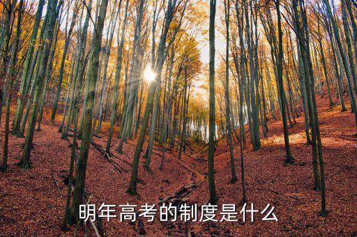 明年高考的制度是什么