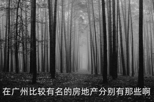 在廣州比較有名的房地產(chǎn)分別有那些啊
