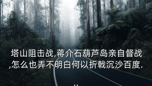  塔山阻擊戰,蔣介石葫蘆島親自督戰,怎么也弄不明白何以折戟沉沙百度...