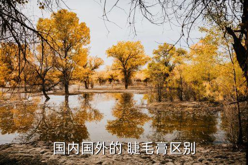 蘭蔻睫毛膏,阿瑪尼睫毛膏和蘭蔻睫毛液哪個才是正牌香港貨