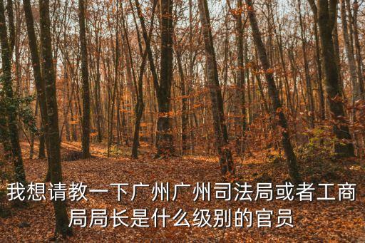 廣州哪些廳級干部，廣州副市長和市委副書記是什么級別的干部