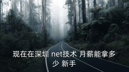 深圳睿博科技待遇，現在在深圳 net技術 月薪能拿多少 新手