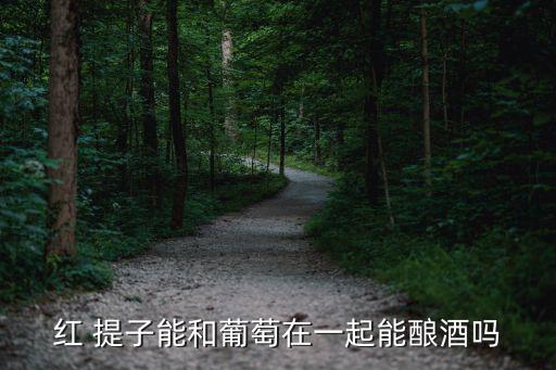 紅 提子能和葡萄在一起能釀酒嗎