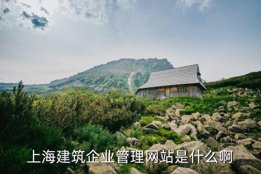 上海市建筑業企業網上快報系統，尋葉波 原即墨第一建筑公司