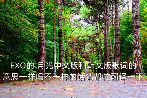EXO的 月光中文版和韓文版歌詞的意思一樣嗎不一樣的話請幫忙翻譯一下...