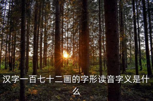 漢字一百七十二畫的字形讀音字義是什么