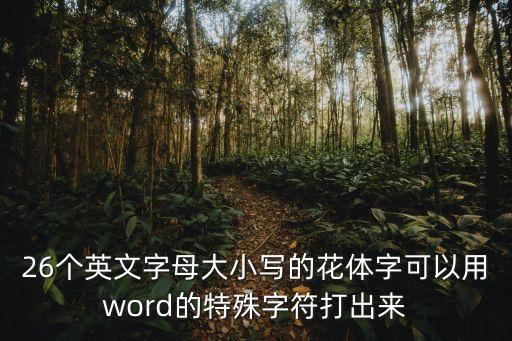斯賓塞體,中國花體常被指稱銅板體和斯賓塞體