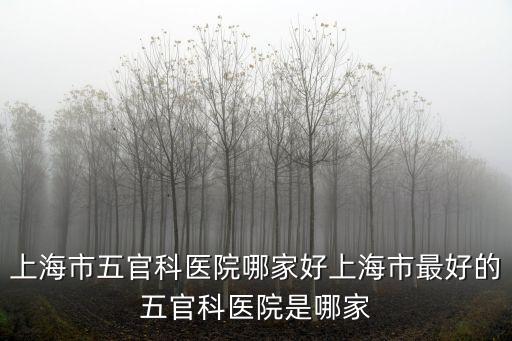 上海市五官科醫院季櫻紅，上海市五官科醫院哪家好上海市最好的五官科醫院是哪家