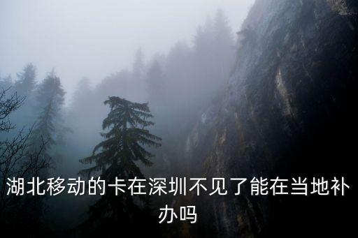 湖北移動(dòng)的卡在深圳不見(jiàn)了能在當(dāng)?shù)匮a(bǔ)辦嗎