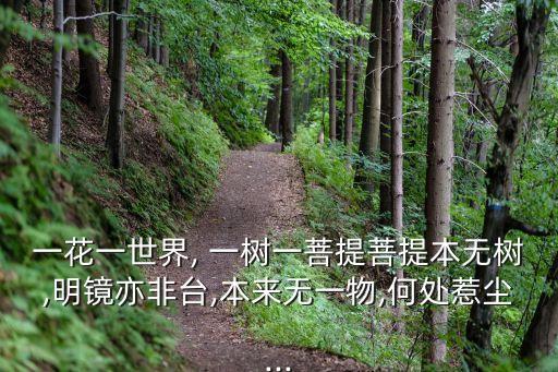 一花一世界, 一樹一菩提菩提本無樹,明鏡亦非臺,本來無一物,何處惹塵...