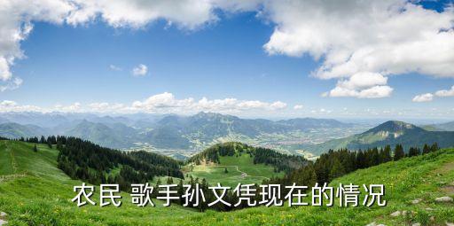 農民歌手,本地首位民歌手孫文憑狀態很好唱歌也不錯