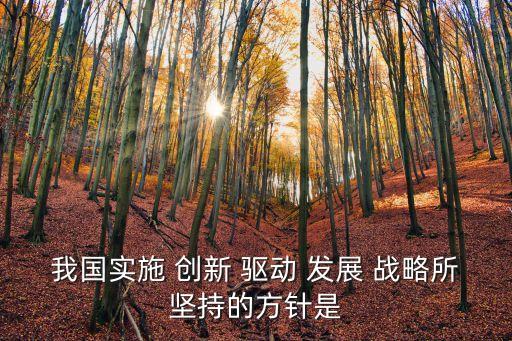 我國實施 創新 驅動 發展 戰略所堅持的方針是
