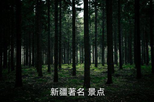 新疆著名 景點(diǎn)