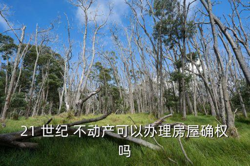 21 世紀 不動產可以辦理房屋確權嗎
