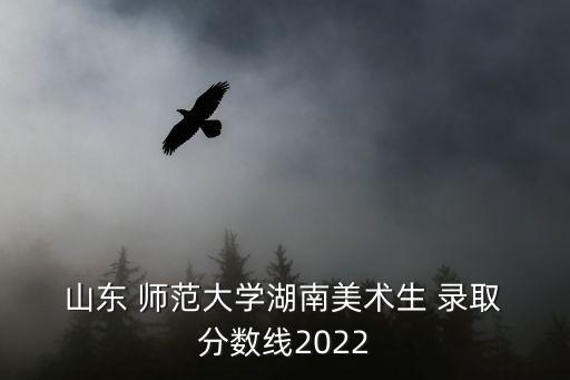  山東 師范大學湖南美術生 錄取 分數線2022