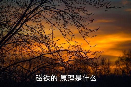 磁鐵原理,磁鐵同性相吸異性相斥原理