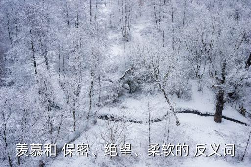 保密的反義詞
