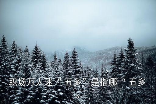 職場萬人迷“ 五多”是指哪“ 五多”