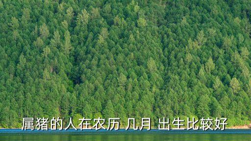 屬豬的人在農(nóng)歷 幾月 出生比較好