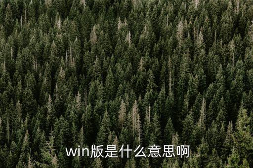 win的意思,win版是什么意思?