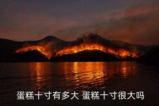  蛋糕十寸有多大 蛋糕十寸很大嗎