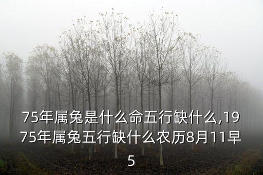 75年屬兔是什么命五行缺什么,1975年屬兔五行缺什么農歷8月11早5