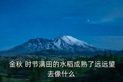  金秋 時節滿田的水稻成熟了遠遠望去像什么