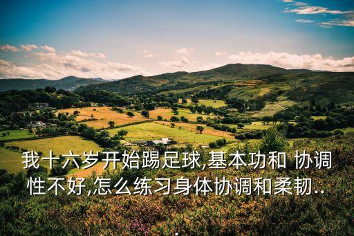 我十六歲開始踢足球,基本功和 協調性不好,怎么練習身體協調和柔韌...
