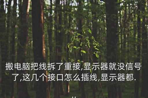 搬電腦把線拆了重接,顯示器就沒信號了,這幾個接口怎么插線,顯示器都...