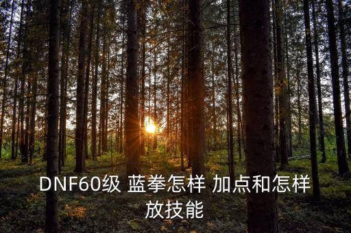 藍拳加點,60藍拳怎么加點?大神幫幫忙!