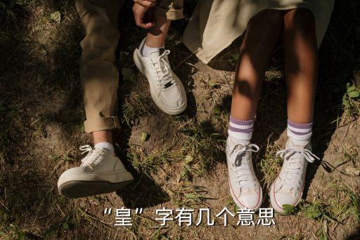 張皇的意思,噙的意思
