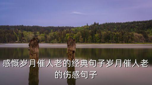 時間的齒輪,塞爾達傳說荒野之息銘刻時間的齒輪