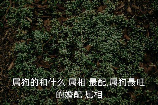 屬狗的和什么 屬相 最配,屬狗最旺的婚配 屬相