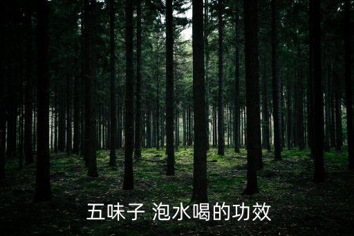  五味子 泡水喝的功效