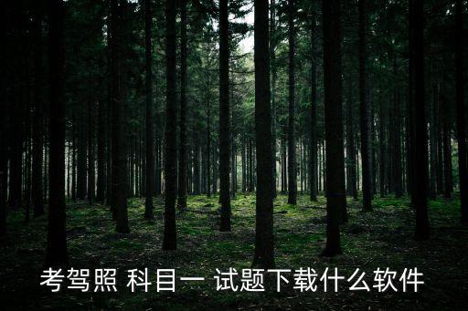 考駕照 科目一 試題下載什么軟件