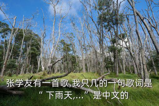 張學友有一首歌,我只幾的一句歌詞是“ 下雨天,...”是中文的