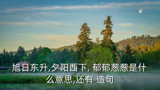 旭日東升,夕陽西下, 郁郁蔥蔥是什么意思,還有 造句