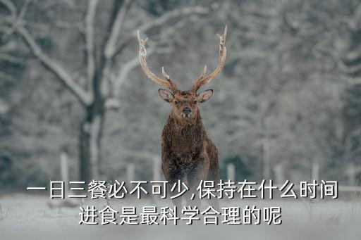  一日三餐必不可少,保持在什么時間進食是最科學(xué)合理的呢