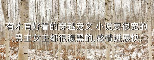 有木有好看的穿越寵文 小說要很寵的,男主女主都很腹黑的,感情進展快...