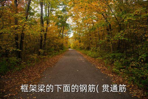 貫通筋