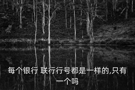 每個(gè)銀行 聯(lián)行行號(hào)都是一樣的,只有一個(gè)嗎