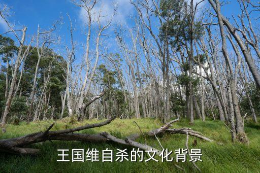 馮玉祥死因,馮玉祥之女:馮大釗死因是什么?