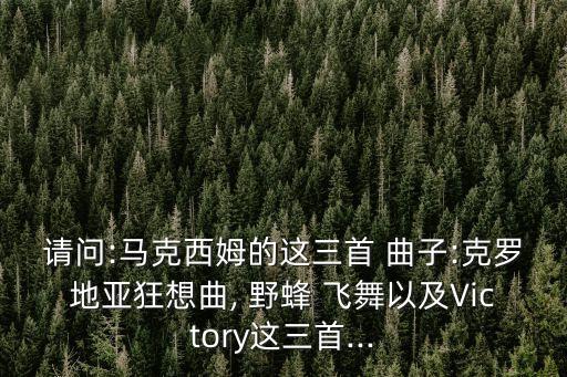 野蜂飛舞是幾級的曲子,鋼琴曲野蜂飛舞是幾級的曲子