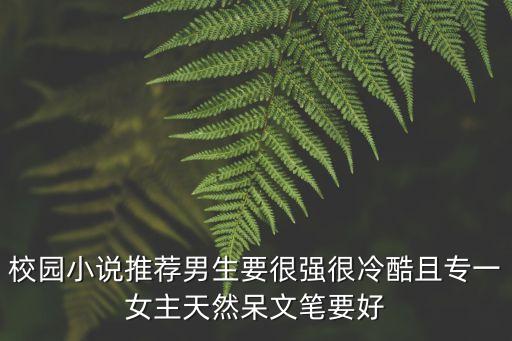 校園小說推薦男生要很強很冷酷且專一女主天然呆文筆要好