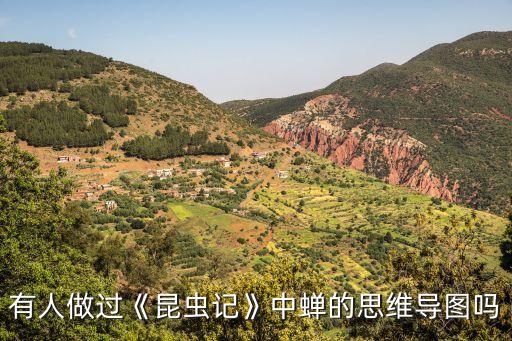 有人做過《昆蟲記》中蟬的思維導圖嗎